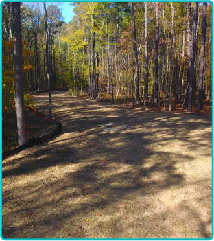 Stabilized corridor with grass growing, photo 2 of 2